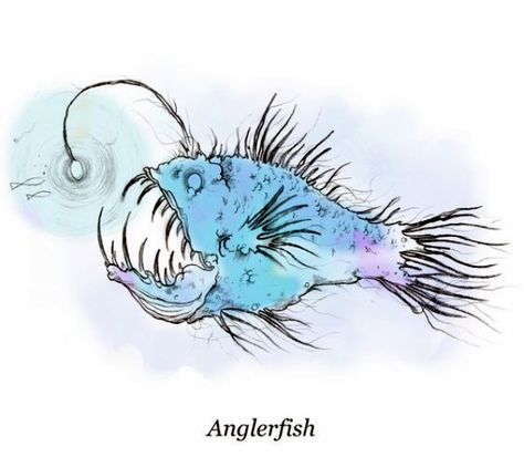 Anglerfish Tattoo, Angler Fish Tattoo, Giraffe Images, Turtle Images, Drawn Fish, Underwater Art, Cute Animal Illustration, Angler Fish, Fish Drawings