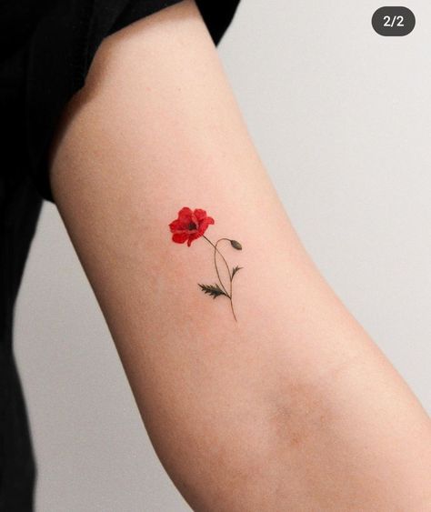 Dainty Poppy Tattoo, Small Poppy Flower Tattoo, Amapola Tattoo, Red Poppy Tattoo, Purple Butterfly Tattoo, Polish Tattoos, Poppy Flower Tattoo, Butterfly Wrist Tattoo, Poppy Tattoo