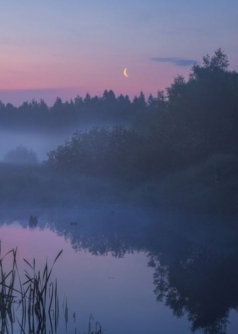 Twilight Sky, Pretty Landscapes, Nature Aesthetic, Pretty Pictures, Beautiful Landscapes, Night Skies, Mother Nature, Beautiful Nature, The Moon