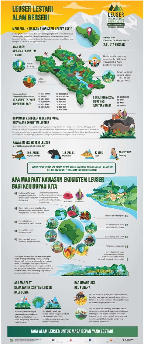 Kolaborasi Poligrabs Infographic dengan Leuser International Foundation. #poligrabs #infographic #infografis #infografisaceh #infografisleuser #environment Environmental Posters, Mobile Design Inspiration, Infographic Layout, Education Poster Design, Keyword Elements Canva, Canva Elements Keyword, Graphic Design Tutorials Learning, Slides Design, Graphic Design Infographic