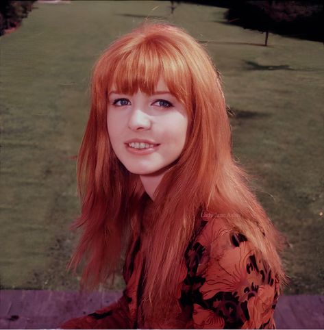 Shrimptons, Boyds, Asher, Faithfull And More Beatles Girl, Jane Asher, 60s Hair, Lily Evans, Vintage Icons, Summer Night, Dream Hair, Celebrity Crush, Redheads