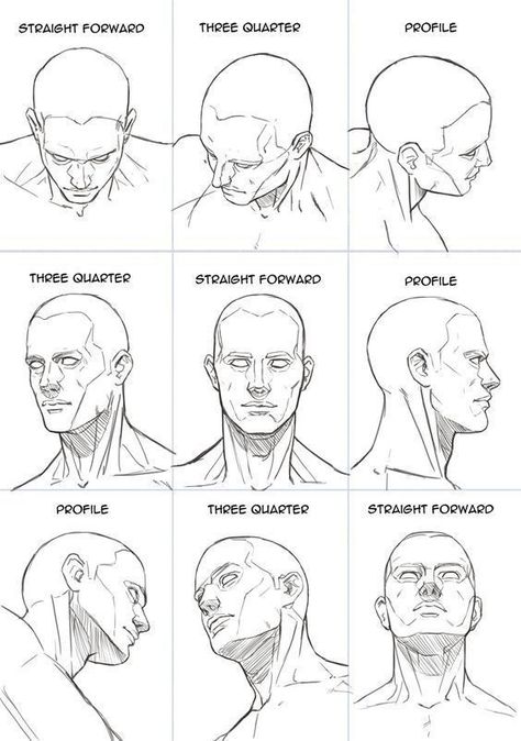 Male Face Drawing, Drawing The Human Head, Neck Drawing, Head Anatomy, Face Anatomy, Pose Model, 얼굴 드로잉, Anatomy Tutorial, Drawing Heads