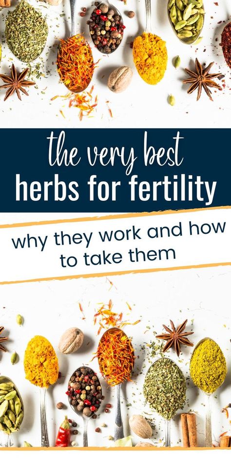 Pregnancy Herbs, Fertility Herbs, Herbs For Fertility, Tips For Getting Pregnant, Fertility Tea, Fertility Spells, Help Getting Pregnant, How To Increase Fertility, Cooking Herbs