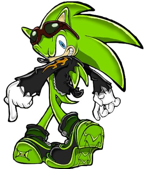 Scourge the Hedgehog Scourge The Hedgehog, The Hedgehog, Sonic, Google Search, Green, Black