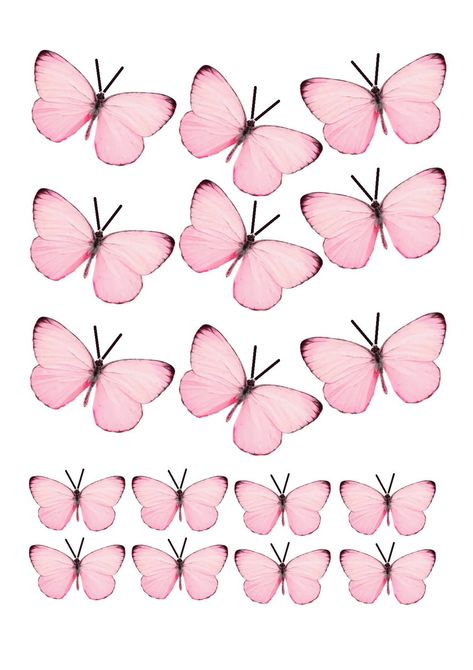 ARQUIVO DE CORTE BORBOLETA ROSA | Elo7 Produtos Especiais Jungle Safari Cake, Moana Theme Birthday, Butterfly Cupcake Toppers, Baby Birthday Party Theme, Moana Theme, Photo Cake Topper, Fondant Figures Tutorial, Winnie The Pooh Cake, Hollywood Party Theme