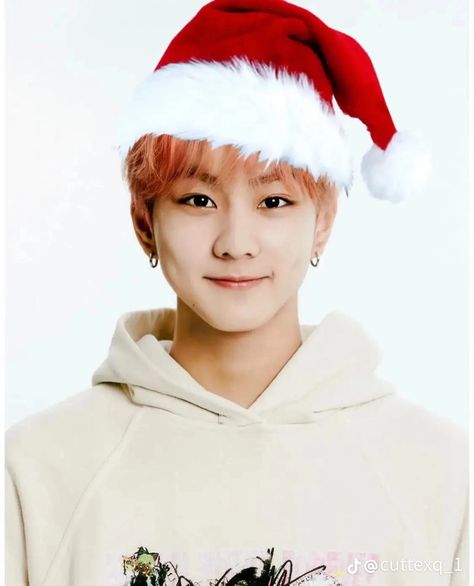 Kpop Hat, Christmas Profile Pictures, Silly Pics, New Years Hat, Merry Chistmas, 17 Kpop, Christmas Decorations For Kids, Christmas Icons, Funny Profile Pictures