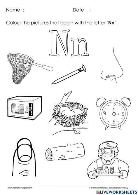 Letter N Activities For Preschool, Letter N Worksheets For Preschool, Letter N Craft, Phonic Worksheet, Letter N Activities, Letter N Worksheet, Classroom 2023, Find And Color, Purple Aster