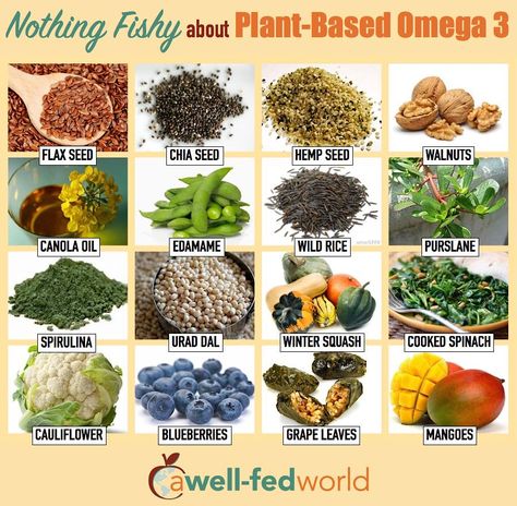 Vegan Universe Omega 3 Foods, Plant Based Foods, Cholesterol Remedies, Nutrition Sportive, Sport Nutrition, Vegan Nutrition, Nutrition Education, Proper Nutrition, Nutrition Plans