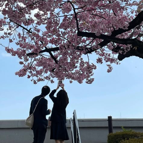 Japan Couple Aesthetic, Haruki Murakami Books, Seoul Korea Travel, 사진 촬영 포즈, Blue Aesthetic Pastel, Pics Ideas, Japan Aesthetic, Ulzzang Couple, Pose Reference Photo