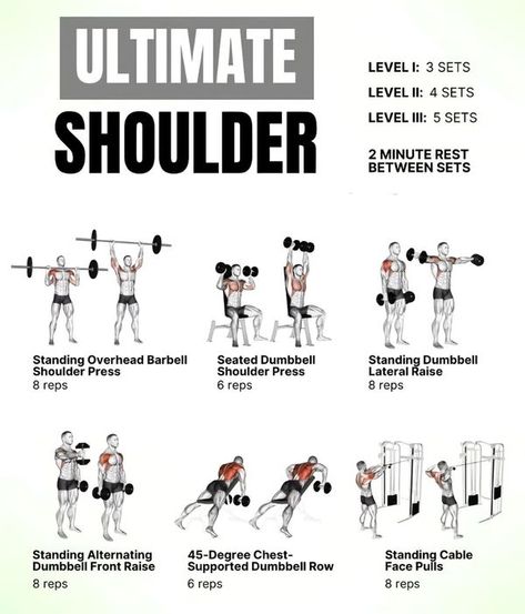 Shoulders Workout, Dumbbell Shoulder Press, Face Pulls, Front Raises, Unknown Facts, Lateral Raises, Fitness Inspiration Quotes, Shoulder Press, Workout Pictures