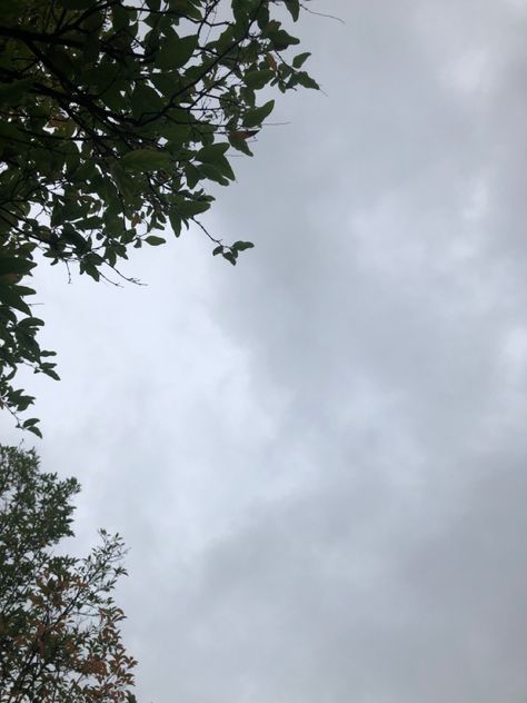 #sky #skies #aesthetic #gloomy #photography #photooftheday #photo Gloomy Sky Aesthetic, Gloomy Photography, Skies Aesthetic, Gloomy Sky, Gloomy Aesthetic, La Aesthetic, Snap Pics, Gloomy Day, Clear Sky