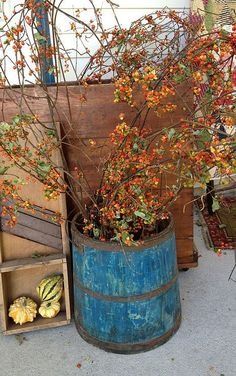 5 Quick and Easy Ideas to Get You in the Mood for Fall Bittersweet Vine, Primitive Autumn, Vibeke Design, Primitive Fall, Country Antiques, Autumn Decorating, Fall Outdoor Decor, Wall Decor Ideas, Elegant Fall