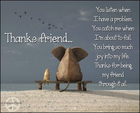 “Friendship is the hardest thing in the world to explain. It's not something you learn in school. But if you haven't learned the meaning of friendship, you really haven't learned anything.” ― Muhammad Ali Thankful For Friends, Thank You Friend, Thank You Quotes, Friend Friendship, Life Quotes Love, Quotes Inspirational Positive, Friend Quotes, Bff Quotes, Love Quotes For Her