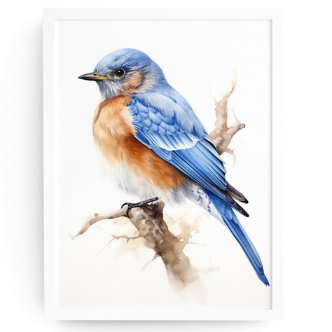 Watercolor Eastern Bluebird Wall Art Illustration Print Poster Unframed Perfect As Gifts For Family And Friends! This Is An Original Artwork Printed On Thick Premium Grade Matte Photo Paper. Vibrant, Crisp, And Vivid Image. Sizes Available: 11x14, 8x10, And 5x7 Fast Shipping! Blue Birds Painting, Watercolour Birds, Bluebird Painting, Birds Watercolor, Bird Coloring, Pen Ideas, Blue Bird Art, Wood Photo Prints, Painted Birds