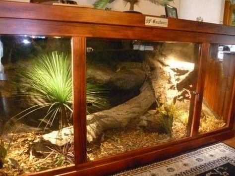 Ackie Monitor Enclosure, Large Reptile Enclosure, Ackie Monitor, Monitor Enclosure, Lizard Enclosure, Python Ideas, Reptile Tanks, Lizard Cage, Snake Cage