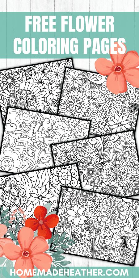 Flower Coloring Sheets, Free Adult Coloring Printables, Printable Flower Coloring Pages, Adult Coloring Books Printables, Printable Flower, Abstract Coloring Pages, Pattern Coloring Pages, Detailed Coloring Pages, Free Adult Coloring Pages