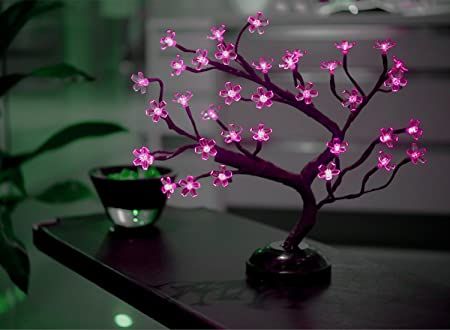 Amazon.com: LIGHTSHARE 16Inch 36LED Cherry Blossom Bonsai Light, Warm White,Battery Powered and Plug-in DC Adapter (Included),Built-in Timer,Décor for Home,Festival,Party,Christmas,Night Light: Home & Kitchen Cherry Blossom Bonsai, Cherry Blossom Bonsai Tree, Lighted Tree Branches, Lighted Trees, Christmas Night Light, Led Tree, Tree Lamp, Battery Lights, Perfect Night