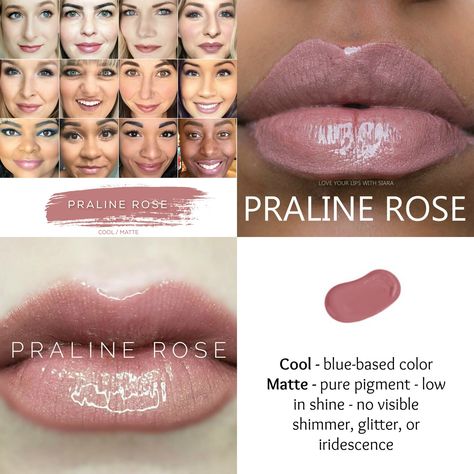 Praline Rose Lipsense Praline Rose Lipsense, Lipsense Lip Colors, Lipsense Gloss, Shampoo Hair, Makeup Help, Business Concept, Hair Treatments, Soft Autumn, Hair Fall