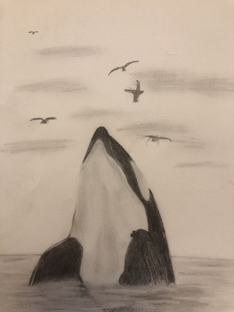 Orca Whale Sketch, Orca Drawing Realistic, Animals Combined Drawing, Calm Drawing Ideas, Nature Sketches Pencil Simple, Baby Turtle Drawing, Cute Animal Sketches Easy, Marine Animal Drawings, Random Sketch Ideas Easy