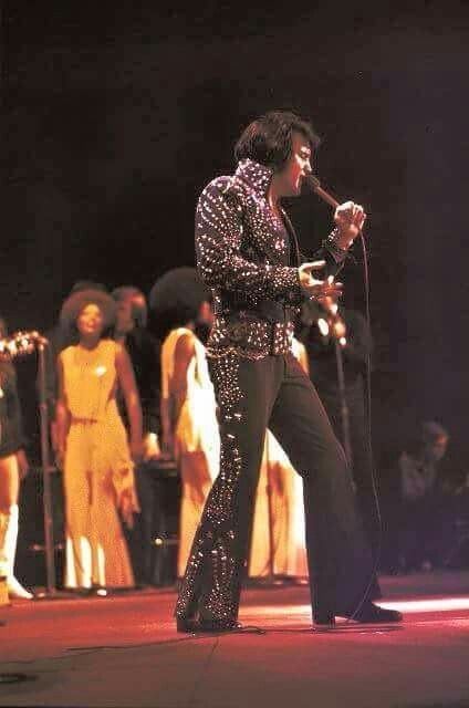 Elvis live on stage in Greensboro, April 14 1972 – Elvis Presley Black Elvis, Elvis Presley Concerts, Elvis Jumpsuits, King Elvis Presley, Elvis Presley Music, Blue Fireworks, Elvis In Concert, Elvis Presley Images, Elvis Movies