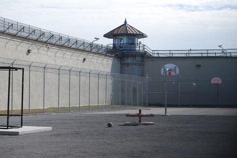 Video: King Von Knocks Out an Inmate After Jumping Another Inmate in Dayroom Phone Prison Fight ... Link in bio #kingvon #dayroomphonecalls #prisonfight #fightvideo #knockout #mace #chiraq #oblock Guard Tower, Correctional Facility, Justice System, Mass Incarceration, Federal Prison, Correctional Officer, Bright Minds, Behind Bars, Army Vehicles