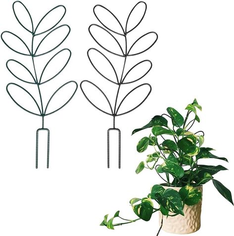 Amazon.com : 2Pack Indoor Plant Trellis Metal Wire Garden Trellis ，Small Climbing Leaf Shape Trellis for Garden Potted Plant Houseplant(Blackish Green) : Patio, Lawn & Garden Trellis For Garden, Mini Trellis, Indoor Climbing Plants, Indoor Potted Plants, Indoor Plant Trellis, Small Trellis, Climbing Plant Support, Indoor Trellis, Flower Peony