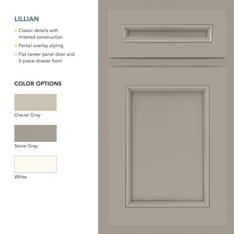 Purestyle Cabinet Features, Grey Stone, Drawer Fronts, Panel Doors, So Excited, Tall Cabinet Storage, The Kitchen, Color Options, Stone