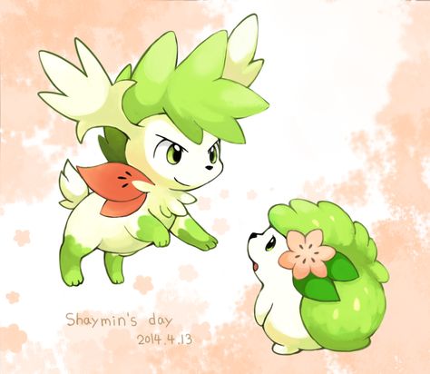 Tags: Pokémon, Pixiv, Shaymin, Legendary Pokemon, Pixiv Id 702880 Plant Pokemon, Pokemon Shop, Mythical Pokemon, Cute Pokemon Pictures, Pokemon Memes, Anime Animals, All Pokemon, Pokemon Drawings, Pokemon Fan Art