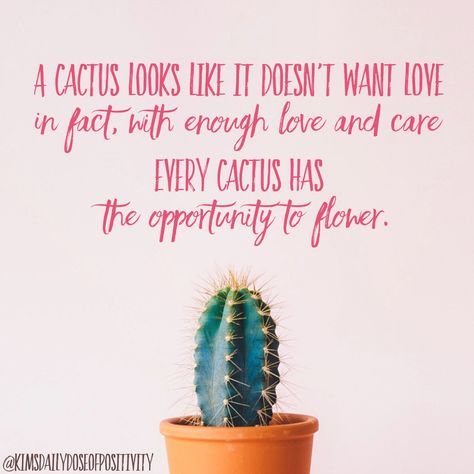 #1in4 #kimsdailydoseofpositivity #mentalhealthawareness #mentalhealth #mentalhealthquotes #positivethinking #positivethoughts #positivity #positivequotes #positivityquotes #care #caring #caringquotes #loveothers #love #lovequotes #bloom #bloomquotes #cactus #cactusquotes Cactus Quotes, Disorder Quotes, Counseling Quotes, Bloom Quotes, Face Quotes, Growth Mindset Quotes, Awareness Quotes, Amazing Inspirational Quotes, Einstein Quotes