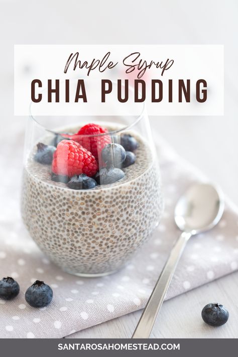 Are you looking for a dessert that is healthy and delicious? Try this Maple Syrup Chia Pudding! This creamy dessert is made with real maple syrup, making it better for you than Chia pudding that is  sweetened with regular granulated sugar.

#maplesyrup #chiapudding #healthy #homestead #diyhomestead Pancake Syrup Recipe, Chia Seed Pudding Recipe, Overnight Chia Pudding, Overnight Chia, Chia Pudding Recipe, Chia Seed Recipes Pudding, Brulee Recipe, First Watch, Chia Pudding Recipes