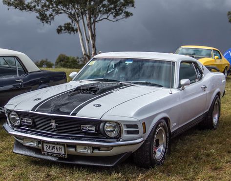 1970 Mustang Mach 1, 1970 Mustang, 1970 Ford Mustang, Ford Mustang Car, Mustang Mach 1, Classic Mustang, Mustang Fastback, Ford Mustang Shelby, Pony Car