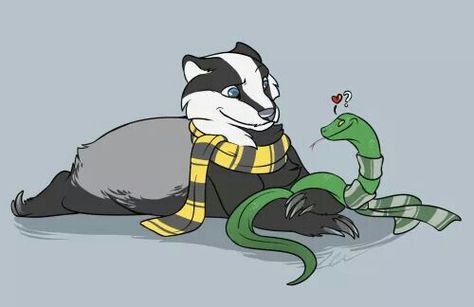 Badger snake love Imprimibles Harry Potter, Slytherin And Hufflepuff, Hufflepuff Aesthetic, Hufflepuff Pride, Slytherin Pride, Desenhos Harry Potter, Harry Potter Hufflepuff, Harry Potter Houses, Hogwarts Mystery