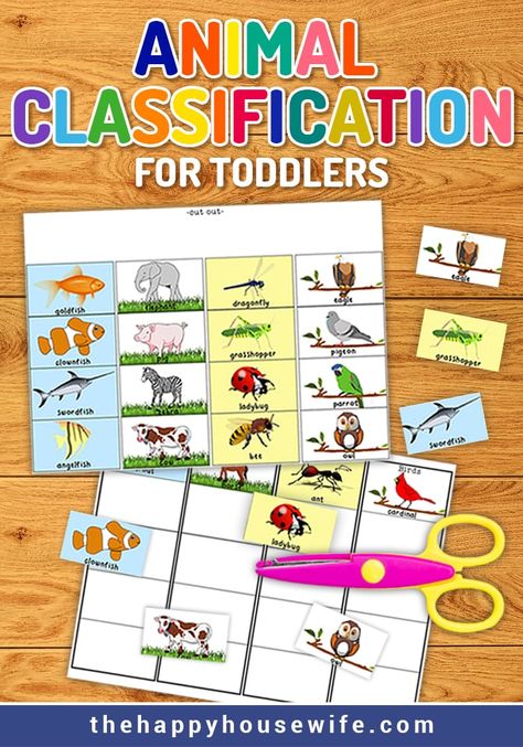 Animal Classification free printable #science activity for preschoolers and toddlers. #homeschool Found at TheHappyHousewife.com Animal Classification Worksheet, Animal Classification, Science Activity, Worksheets Preschool, Home Schooling, Homeschool Classroom, Free Homeschool, Tot School, Sorting Activities