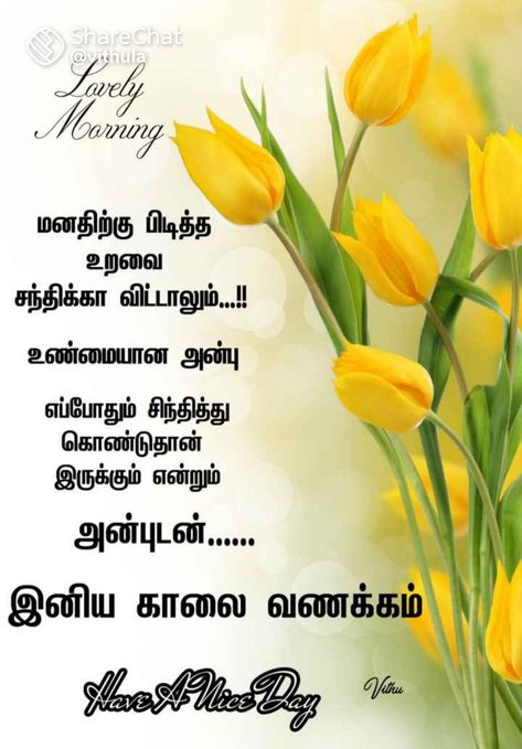 Bible Quotes Tamil, Gud Morning Images, Morning Massage, Good Morning Massage, Quotes Tamil, Beautiful Morning Quotes, Good Morning Flowers Pictures, Good Morning Friends Images, Good Morning Friends Quotes