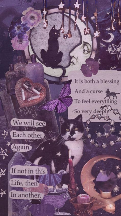 #whimsycore #whimsical #witchy #witchyvibes #vibes #purple #purpleaesthetic #cat #blackcat #aesthetic #purplecore #witchcore #fyp #collage #viral Witchy Ritual Aesthetic, Witchy Cat Aesthetic, Witchy Purple Aesthetic, Cute Witchy Aesthetic, Purple Witch Aesthetic Wallpaper, Witch Aesthetic Collage, Purple Hippie Aesthetic, Dark Purple Collage, Purple Witchy Aesthetic