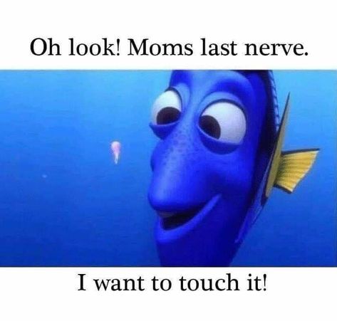 Mom's last nerve Moms Last Nerve, Crazy Mom, School Jokes, Funny School Jokes, Family Funny, Parenting Memes, Math Practices, Teacher Quotes, Gentle Parenting