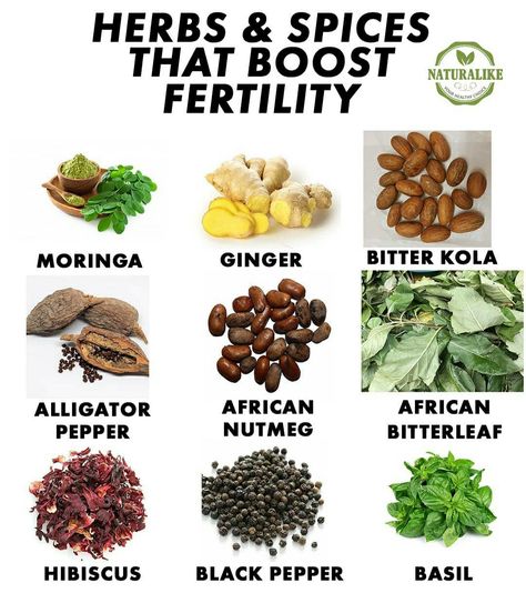 Herbs For Male Fertility, Pregnant Smoothies, Wait Loss Drinks, Herbs For Fertility, Fertility Smoothie, Wait Loss, Fertility Boosters, Boost Fertility, Pregnancy Help