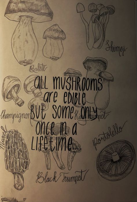 Quotes About Mushrooms, Mushroom Meaning, Mushroom Sayings, Mushroom Quotes, Jules Aesthetic, Year Tracker, Drawing Mushrooms, Fairy Quotes, New Day Quotes