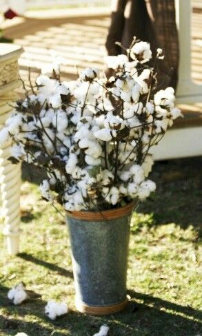 Container of cotton Decorating With Cotton, Cotton Arrangements, Plant Bouquet, Cotton Farm, Cotton Bolls, Cotton Tree, Vases Decor Ideas, Aisle Markers, Galvanized Buckets