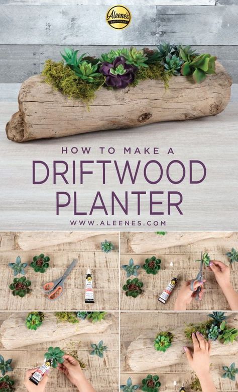 DIY Driftwood Planter  #SucculentPlanter #DriftwoodPlanter #DIYDecor #CraftGlue #AdultCraft #Aleenes Driftwood Succulent Planter, Succulent Driftwood, Driftwood Planters, Wood Succulent Planter, Diy Driftwood, Succulent Planter Diy, Succulent Landscape Design, Driftwood Diy, Driftwood Art Diy