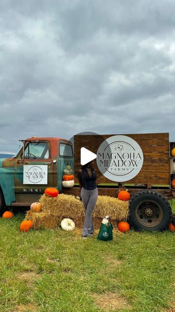 🦂Morgan | 📍MD • Bucket List Ideas on Instagram: "🎃 Marylands BEST Fall Festival: @magnoliameadowfarms 🎃 
📍 Thurmont, MD
📆 Sept 21st - Oct 27th
⏰ 10am-6:30pm (Fri-Sun)
💰 $15pp - Online
💰 $20pp - At the Door
💰 $40pp - Season Pass
+ kids under 2 are free
+ Discount Code: “MORGAN”
+ for the booking info, drop the word “Pumpkin” below & I’ll send it directly to you👇🏾

🎟️ Admission Includes:
+ Maryland’s largest corn maze
+ hayrides
+ giant jumping pillow
+ slides
+ mini zip lines
+ pedal carts
+ farm animal interactions ($4 per feeding cup)

❎ Extra:
+ pumpkins
+ flower picking ($20-$25)
+ apple canon ($4-$7)
+ gem mining
+ food & drinks

📝Dates to Remember📝
🦋 Sept 28th | butterfly release (+$7 each)
🌕 Oct 5th + 26th | moonlit maze

Magnolia Meadow Farms has been an absolute JOY Animal Interactions, Butterfly Release, Dates To Remember, Flower Picking, Pillow Slides, Bucket List Ideas, Pumpkin Flower, Gem Mining, Corn Maze