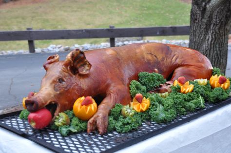 Hawaiian Pig Roast Luau Food, Whole Pig Roast Wedding, Pig Roast Wedding, Roasted Hog, Pig Roast Party, Hampshire Pig, Toga Party, Bbq Catering, Pig Food