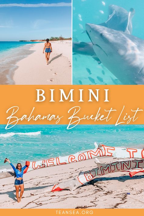 Bahamas In November, Things To Do In Bimini Bahamas, Bimini Bahamas Outfits, Bahama Vacation, Bahamas Outfit, Bahamas Travel Guide, Bimini Islands, Bimini Bahamas, Shark Cage Diving