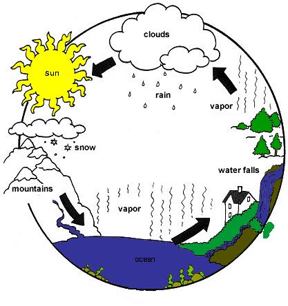 Water Cycle - Survival World Water Cycle Explanation, Water Cycle Project, Water Cycle Diagram, The Water Cycle, Blackboard Wall, Kid Science, Rock And Mineral, Earth Surface, Science Activities For Kids