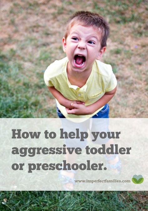 How to Help Your Aggressive Toddler or Preschooler Aggressive Toddler, Newborn Sleep Schedule, Kids Fever, Toddler Behavior, Baby Sleep Problems, Parenting Toddlers, Baby Massage, Kids Behavior, Behavior Problems