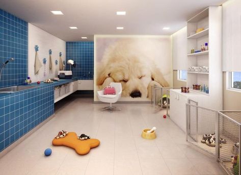 Grooming Salon Ideas, Dog Grooming Tools, Puppy Room, Dog Spa, Dog Spaces, Dog Grooming Salons, Dog Hotel, Pet Spa, Dog Salon