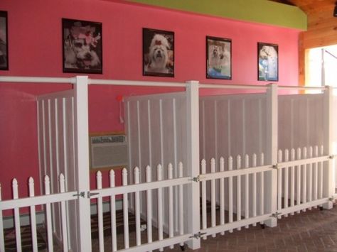 like the idea of pics above the runs... Dog Boarding Ideas, Hotel Pet, Kennel Ideas, Pet Grooming Salon, Puppy Room, Dog Grooming Shop, Doggy Daycare, Dog Spa, Dog Spaces