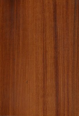 FAUX-FINISHES by Delphine: The Fine Arts Studio - Wood Samples Wooden Mica Texture, Sunmica Texture, Map Wood Texture, Wood Texture Art, Teak Wood Texture, Wood Table Texture, Pine Wood Texture, Table Texture, Modern Kitchen Bar