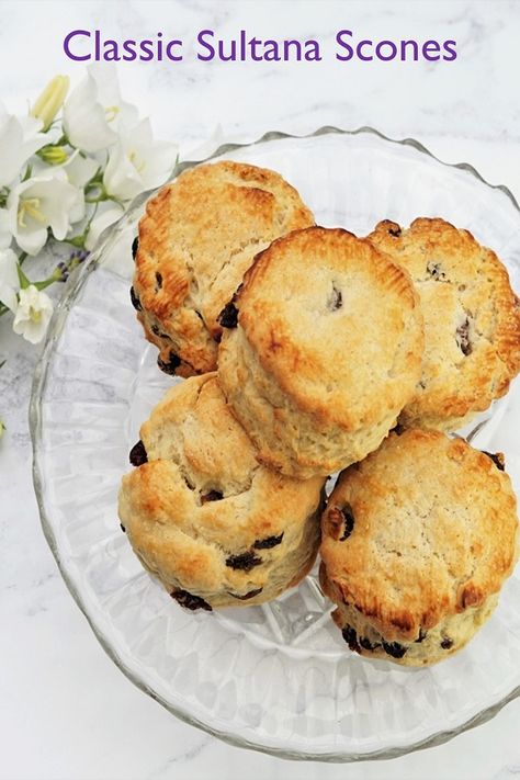 So quick and easy to make, yet Classic Sultana Scones always feel like a real treat whether you serve them with double or clotted cream and jam or simply spread generously with butter. Sultana Scones Recipe, Fluffy Scones Recipe, Orange Butter Recipe, Sultana Scones, Current Scones, Nz Recipes, Fruit Scones Recipe, Fluffy Scones, Aussie Recipes