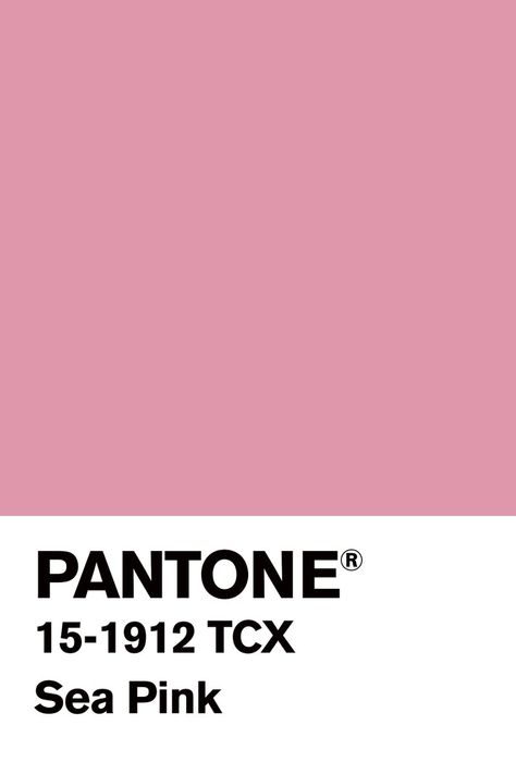 Pink Colors Shades, Pantone Pink Shades, Pink Color Chart, Pretty Shades Of Pink, Pantone Color Chart, Pantone Swatches, Pantone Palette, Pantone Colour Palettes, Shade Of Pink